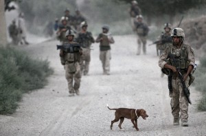 24thmeu_on_patrol_in_helmand