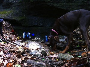 Jones_Gap_Water