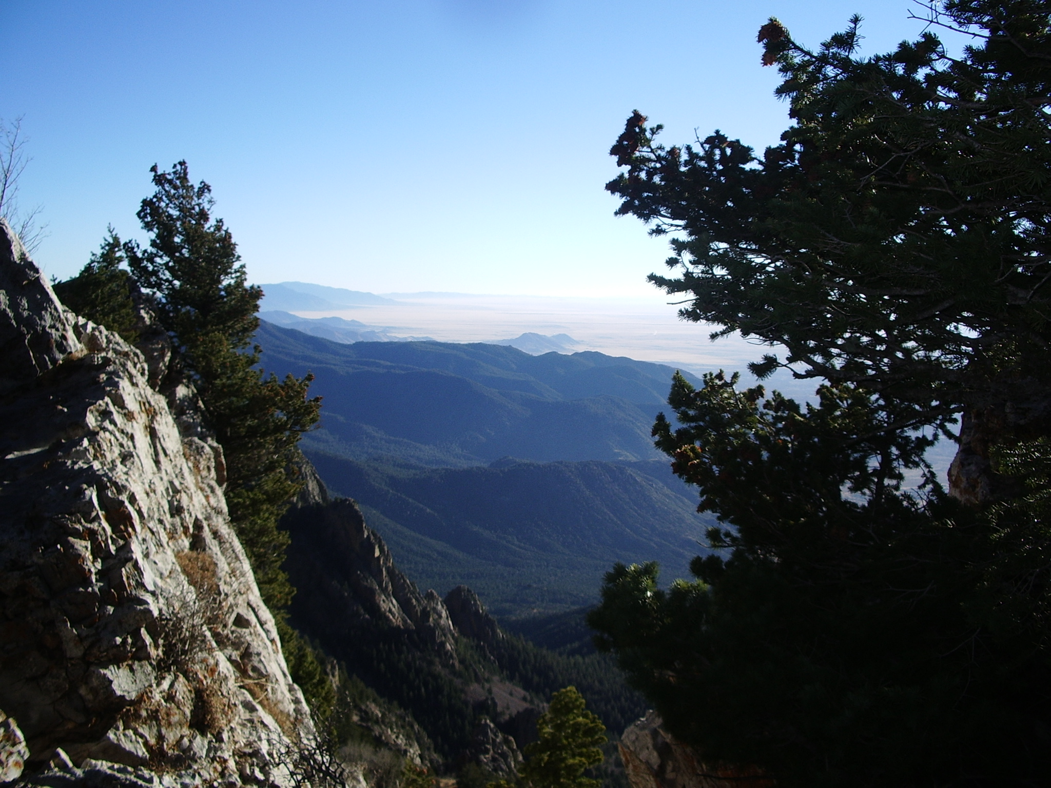 Sandia 0311.jpg