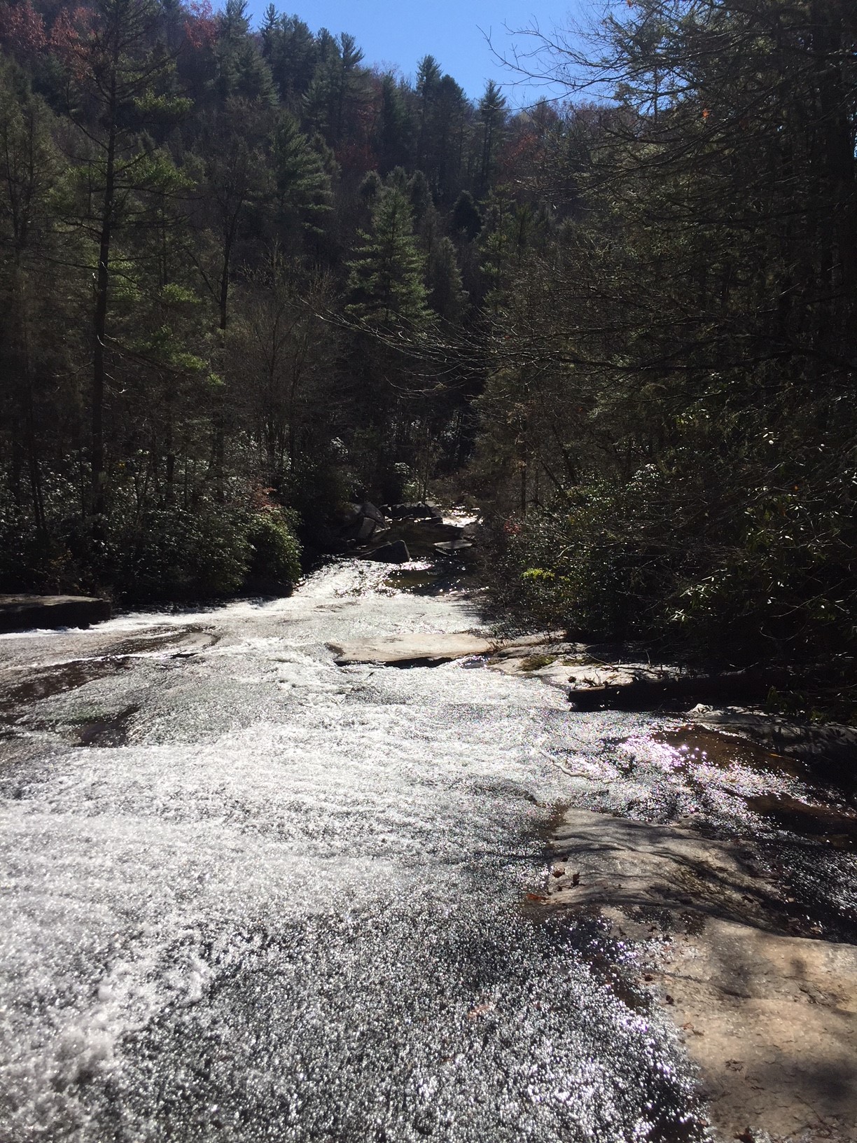 The Captain's Journal » Grassy Creek Falls At DuPont